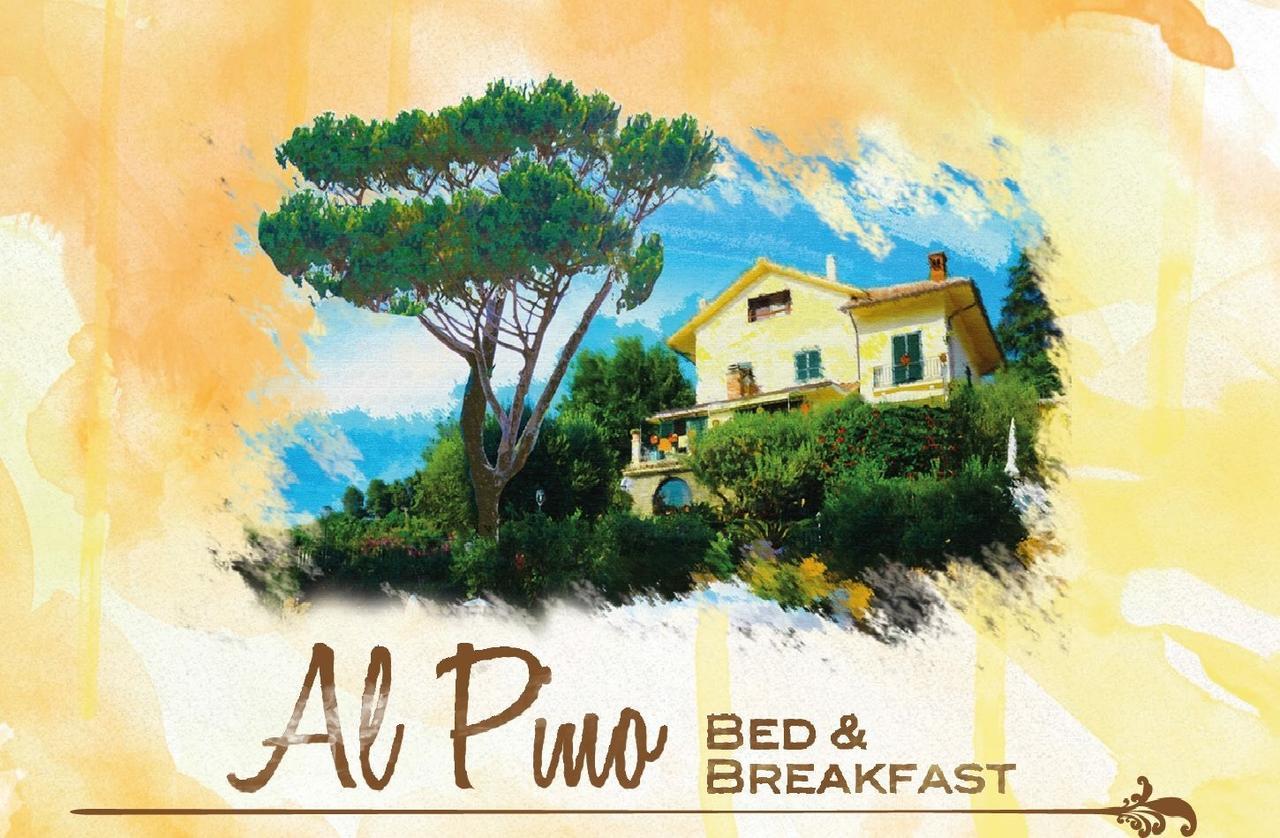 Al Pino B&B Grottaferrata Exterior foto